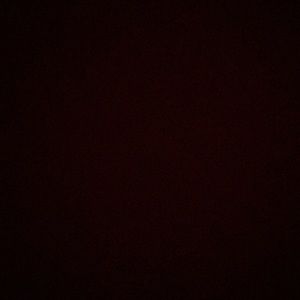 Meet your Posher, Jada